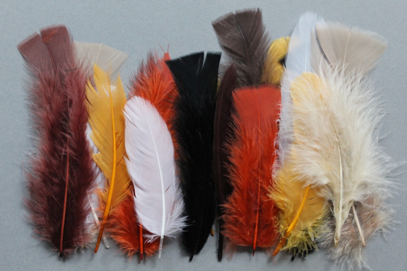 A multicolored variety of fluffy feathers.